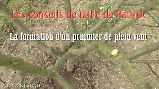 Taille de formation dun pommier de plein vent [upl. by Lahpos]