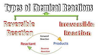 Reversible and Irreversible Reactions Chemistry  Chemical Reactions Types Chemical Equilibrium [upl. by Akemej]