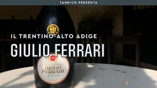 Giulio Ferrari lo Champagne italiano  Tannico Flying School [upl. by Wawro]