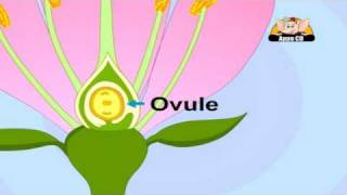 Learn about Plants in Hindi  Life Cycle [upl. by Ace473]