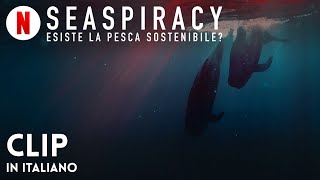 Seaspiracy esiste la pesca sostenibile Clip  Trailer in italiano  Netflix [upl. by Blondie765]