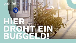 Weihnachtsbaum entsorgen Hier droht ein ordentliches Bußgeld [upl. by Nirtiak]