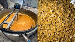 Sweetest jaggery cubes making factory jaggery candy [upl. by Elolcin29]