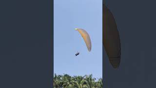 Paragliding in Querim beach Goa goa goabeach resort ocean travel beachvibes [upl. by Jud]