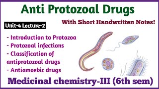 Antiprotozoal Drug  Medicinal Chemistry3rd  Bpharma6th Semester  Unit4 HindiEnglish [upl. by Corydon]