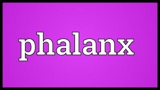 Phalanx Meaning [upl. by Yajnas]