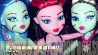 My Fake Monster High Dolls From China [upl. by Aisitel]