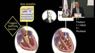 Hypertrophic cardiomyopathy and athletes heart APelliccia [upl. by Laurinda]