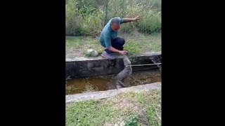 Caiman snaps man on his hand in Trinidadsubscribe for more [upl. by Adnomal666]