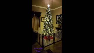 Christmas Tree [upl. by Coshow]