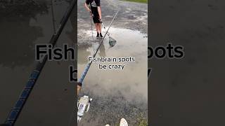 Fishbrain has the weirdest spots fishing fish fishingvideo [upl. by Benedick]