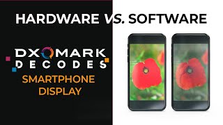 Software vs Hardware in Smartphone Display  DXOMARK Decodes [upl. by Trust]