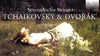 Tchaikovsky amp Dvořák Serenades for Strings [upl. by Behnken]