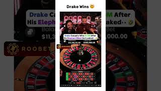 Who Saw The Elephant In The Roomcasino stake drake gambling [upl. by Nomit]