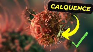 Calquence Medication Understanding its Benefits and Side Effects [upl. by Eddie]