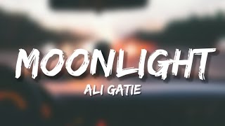 Ali Gatie  Moonlight Lyrics [upl. by Rakso]