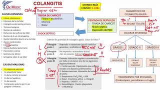 Colangitis [upl. by Bittencourt185]