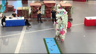 4K SG Shui Lian Gong 新加坡水蓮宮  MalaysiaChina Lion Dance Championship IOI Mall 19 Oct 24 [upl. by Eissalc152]