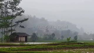 Kacapi Suling  Ulah Ceurik  Kecapi Suling Sunda Instrumental [upl. by Essirehs526]