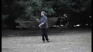 Cheng Man Ching 37 Posture Tai Chi Short Form Demonstration [upl. by Cassidy]