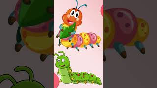 Insect names for kids  CATERPILLAR  Bugs name  InsectsBugs name in English Learning insects [upl. by Assenad]