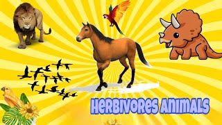 Herbivores Animals 🪼🪽 Learning Kids  SM Kittys [upl. by Syck42]