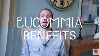 Eucommia Benefits Bone Health Libido Immunity [upl. by Semmes]