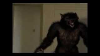 werewolfcgtestavi werewolf werewolfvfx hombrelobo transformation lobisomem [upl. by Ajiak348]