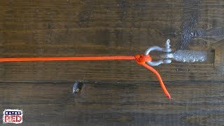 How to Tie an Anchor Hitch [upl. by Norha]