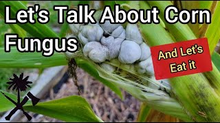 Corn Smut What Is It and How Can I Use It Huitlacoche [upl. by Maurise393]