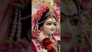 जय श्री राधे कृष्ण 🌺🌺radhakrishna pleasesubscribe motivation [upl. by Gilcrest]