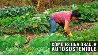 Cómo es una granja autosostenible TvAgro por Juan Gonzalo Angel Restrepo [upl. by Abott904]