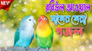 রবি উল আউয়াল এলোRabi ul awal eloMD Jiyaul New bangla Gojol Rasuler BaninayonerMadina [upl. by Nymzaj]