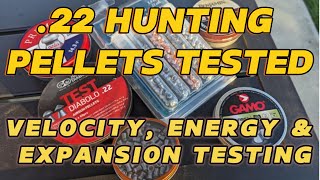 Best 22 Hunting Pellets of 2024  The Ultimate Hunting Pellet Test Velocity Energy amp Expansion [upl. by Nhguaved836]