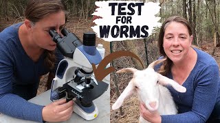 How To Check Your Goats Or Sheep For Worms  How To Run A Fecal Test For Parasites [upl. by Robinett551]