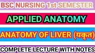 LIVER ANATOMY  APPLIED ANATOMY  BLOOD AND NERVE SUPPLY  BSC NURSING  1ST SEM [upl. by Santos]