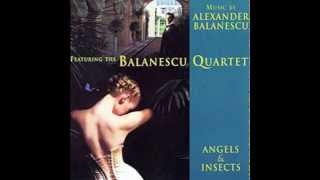 Alexander Balanescu  Balanescu Quartet  Flying Ants [upl. by Weston]