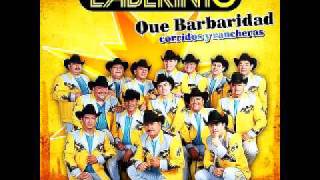 grupo Laberinto El Chulo [upl. by Eeraj]