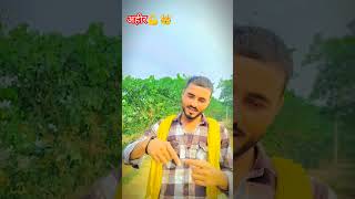 ‼️अहीर👑💪⚜️🦅‼️ shortvideos bhojpuri trendingsong khesarilalyadav [upl. by Ellek]