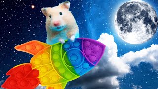 Epic Hamster Maze Adventure 🐹 Colorful Obstacles Escape to the Moon 🌕 [upl. by Nuhsyar675]