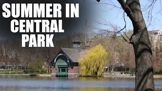 Summer in Central Park Backing Track [upl. by Evilo]