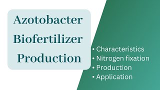 Azotobacter biofertilizer productionAzotobacter Nitrogen fixationApplication of Azotobacter [upl. by Connie]