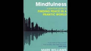 Mindfulness Meditation Befriending [upl. by Ittak]