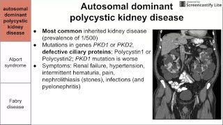 Genetic disorders of the kidney [upl. by Jarlathus]