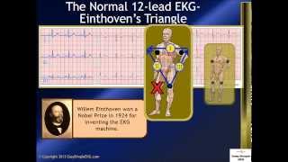 The Normal 12 Lead EKG and Einthovens Triangle [upl. by Sigsmond729]