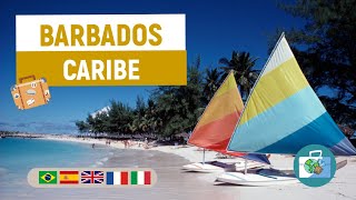 Dicas de Turismo na Ilha de Barbados  Caribe [upl. by Ellimac839]