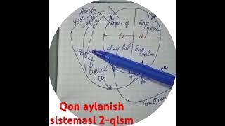 11sentabr 2024 Qon aylanish sistemasi 2 qism [upl. by Nolyad802]