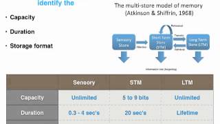 Memory revision part 1  VCE Psychology [upl. by Landrum]