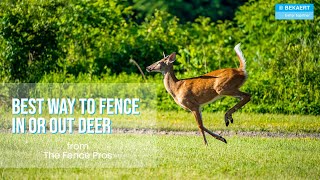 Learn the BEST Fencing in or out deer [upl. by Telfer]