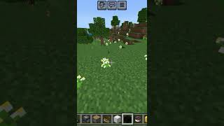 Minecraft pigling with silver colour golden colour mixsing [upl. by Aznerol]